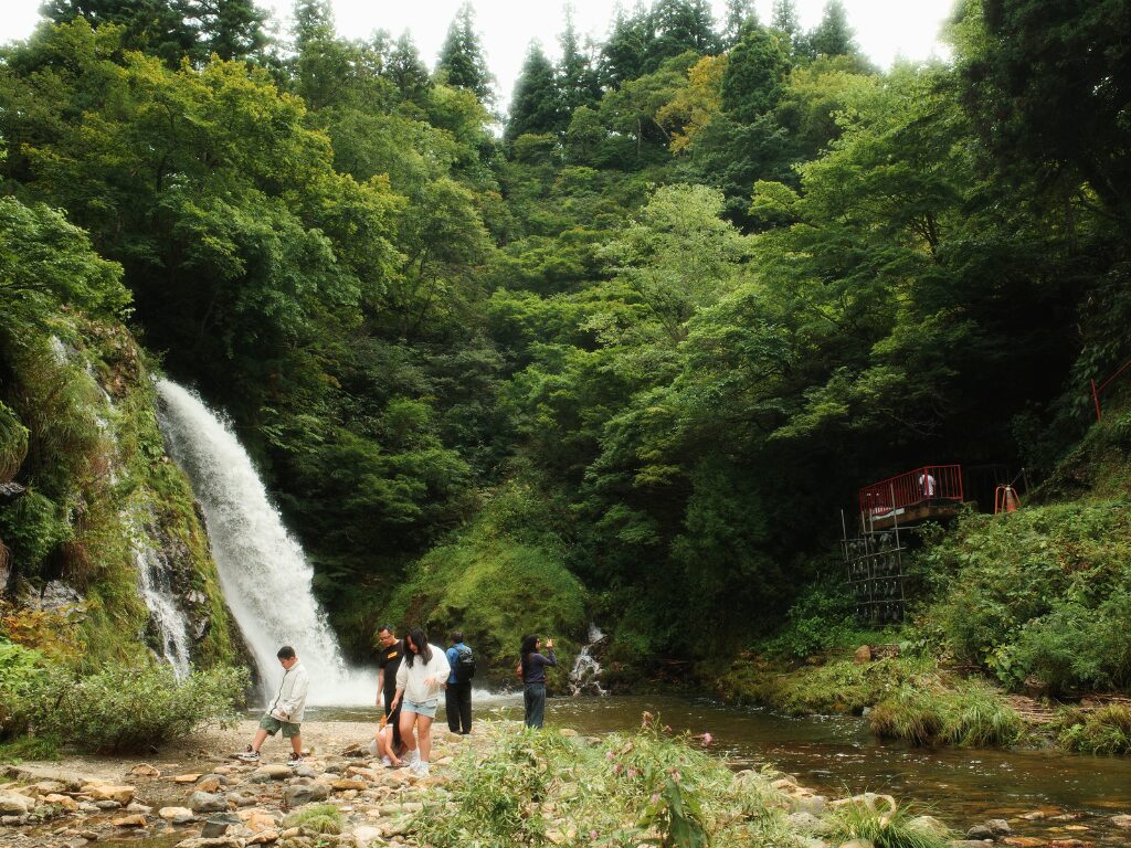 白銀公園を散策する人々白銀公園を散策する人々