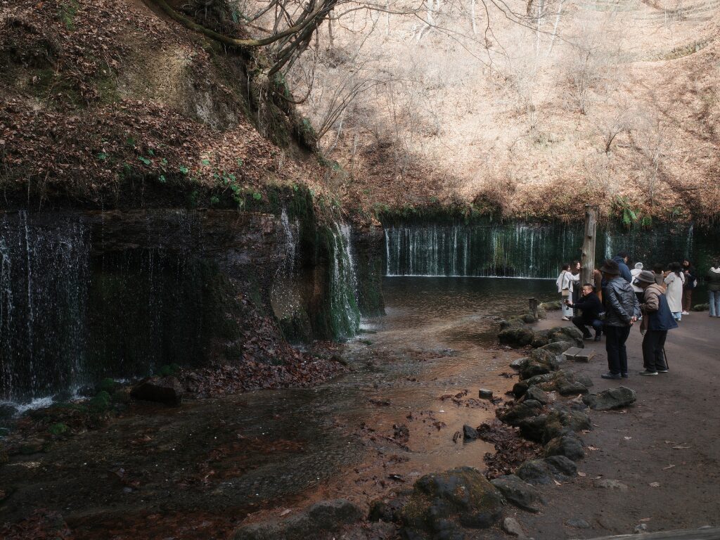 11月下旬の白糸の滝