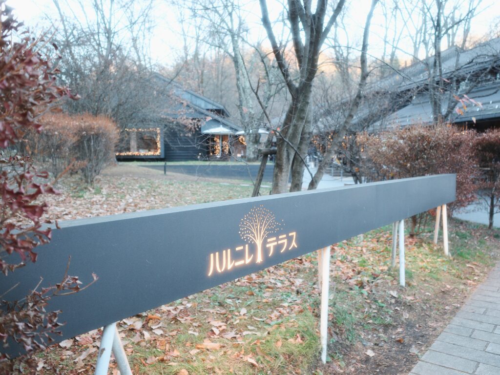 11月下旬のハルニレテラス