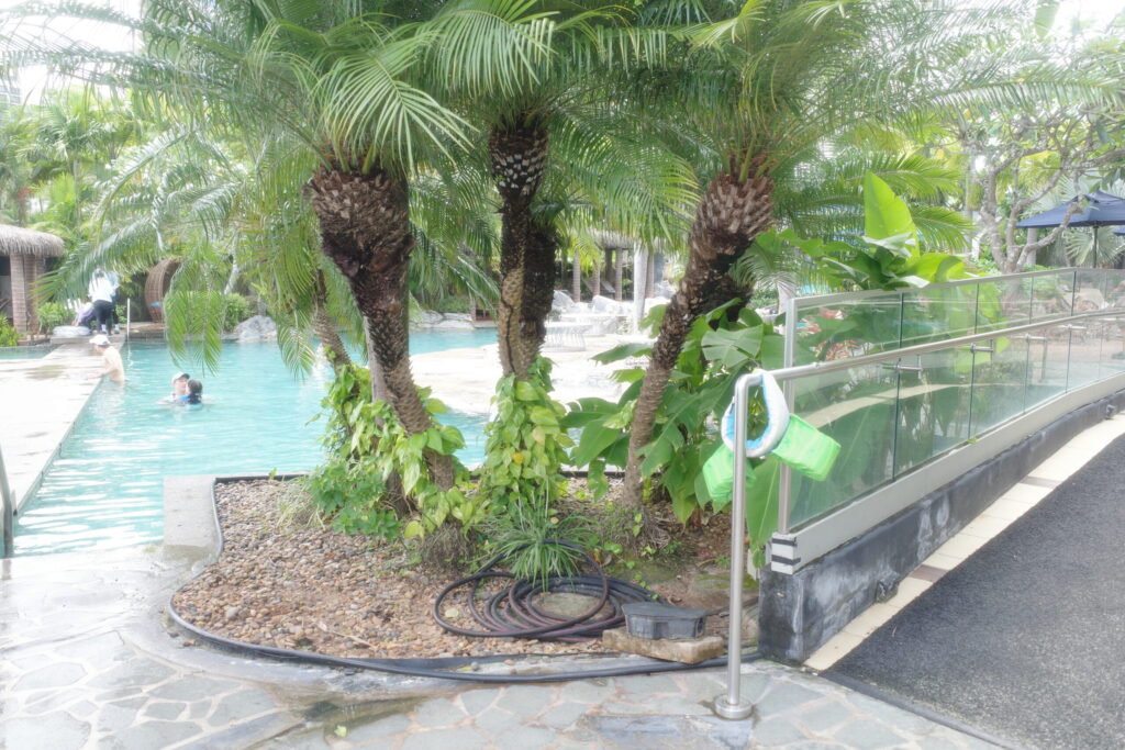 デュシタニグアムリゾートのプール