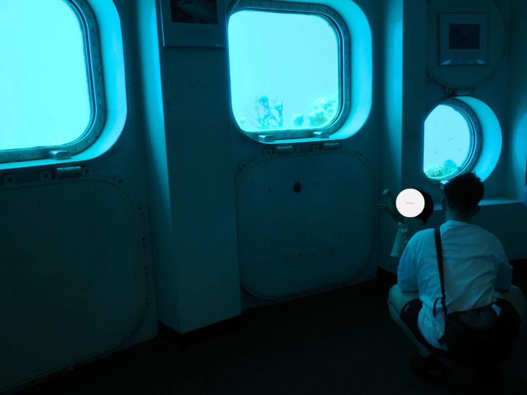 フィッシュアイマリンパークの海中展望塔内